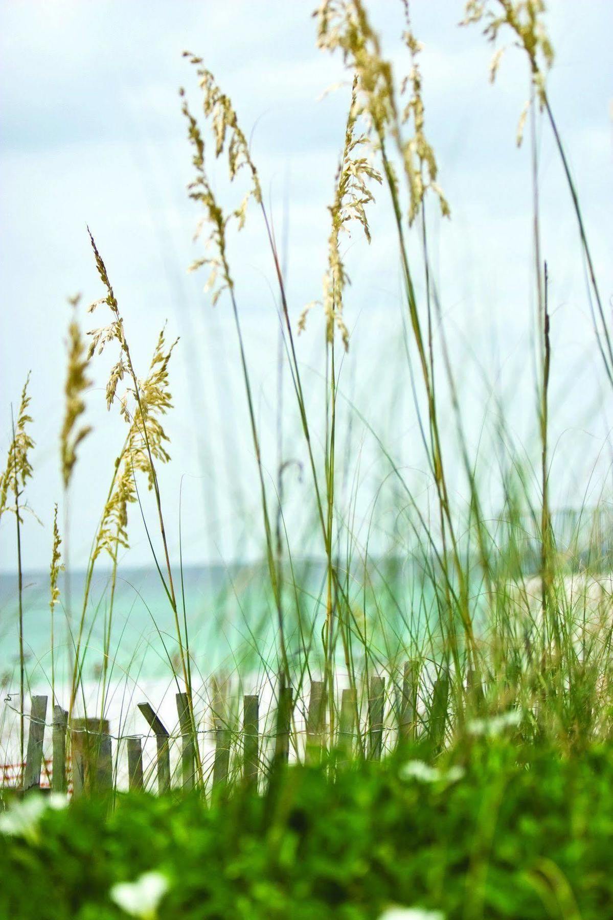 Club Wyndham Beach Street Cottages Miramar Beach Luaran gambar